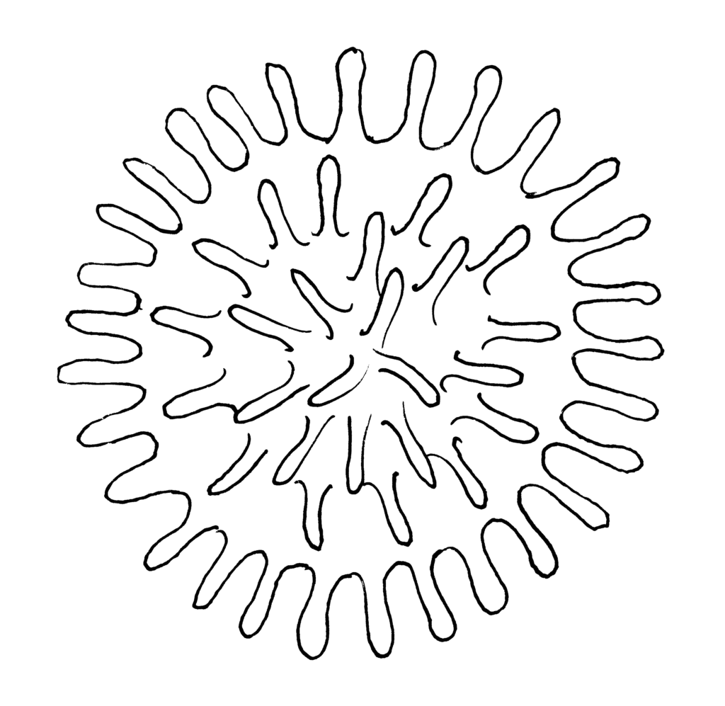 Původce infekčního onemocnění hepatitidy C – Hepatitis C Virus (HCV)