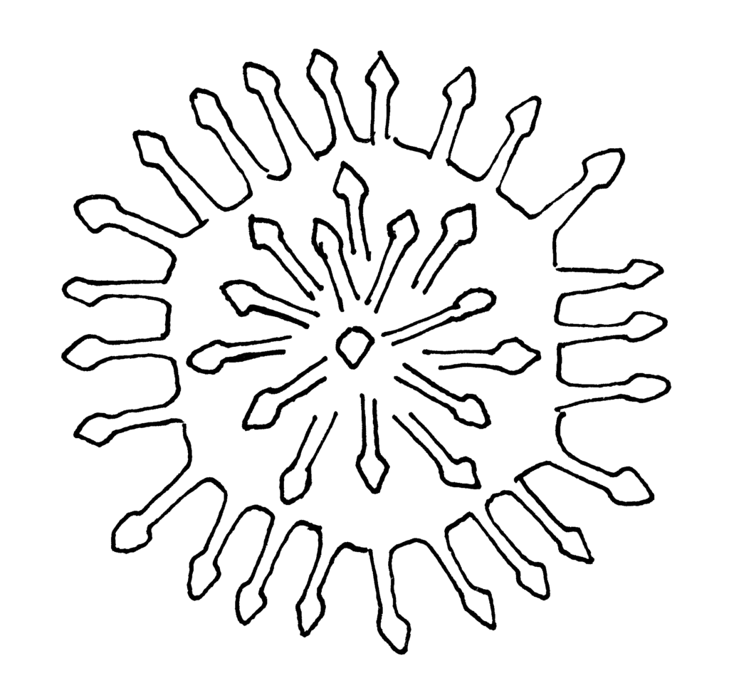 Původce genitálního a kožního oparu – Herpes simplex virus 1, 2
